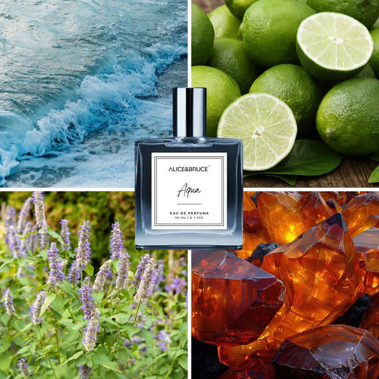 MAGNUS - Alice&Bruce