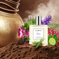 Alice&Bruce™ Ferox Perfume  – Inspired Eau de Parfum for Men - Alice&Bruce