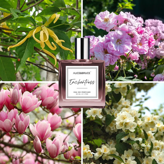 ENCHANTRESS - Alice&Bruce