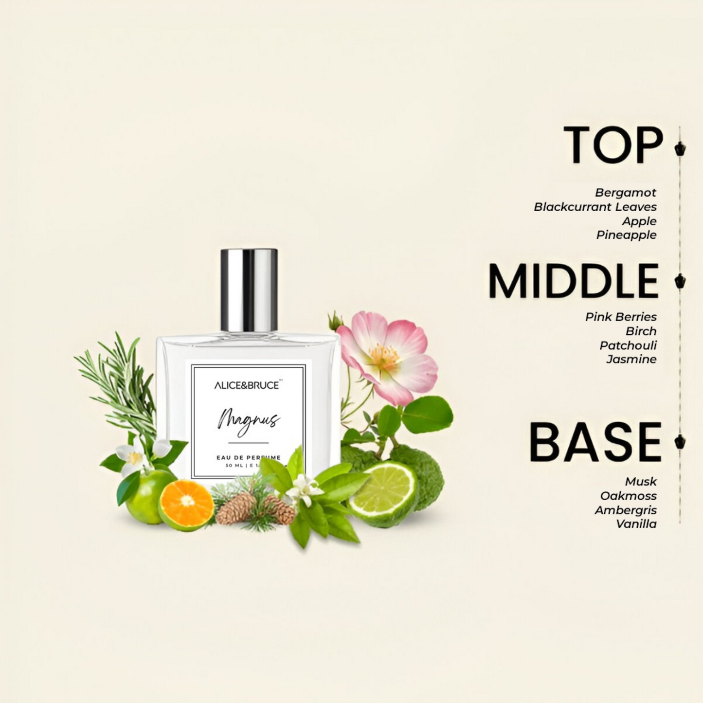 Alice&Bruce magnus perfume for men with fresh citrus and floral fragrance notes