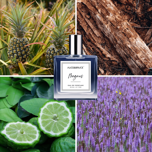 Collage of a perfume bottle labeled 'Alice & Bruce Magnus', surrounded by images of pineapples, wood, leaves, limes, and lavender.